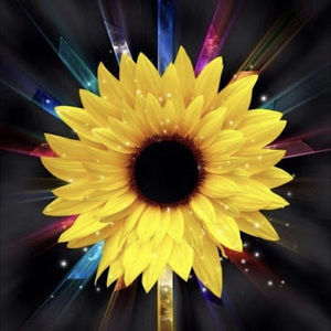 Meet your Posher, Ivelisse